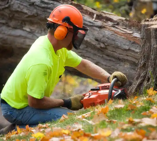 tree services Kalamazoo